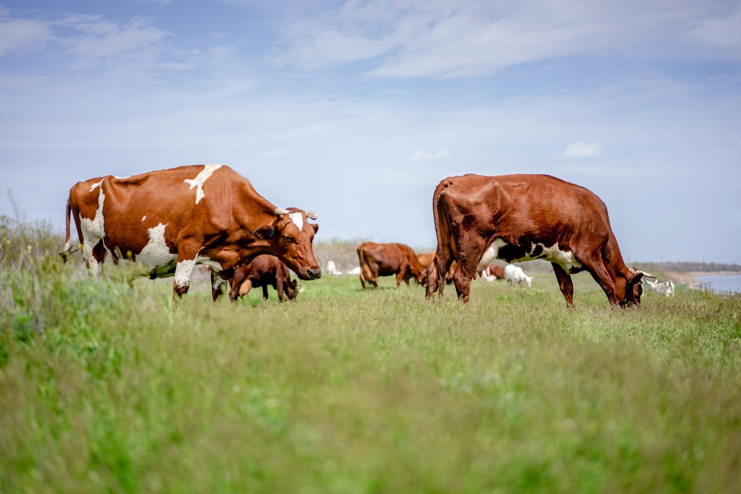 Empowering Farmers with Expertise and Funding